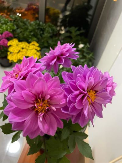 无装修拆旧翻新