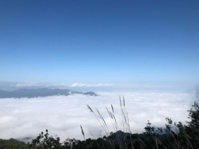 纱窗