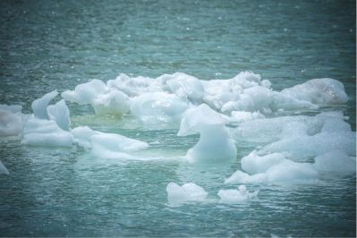 网络硬件设备机房运维提供