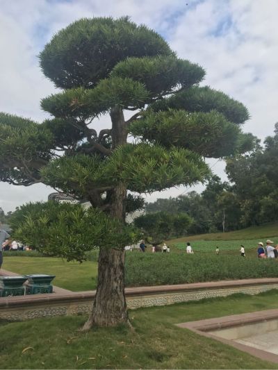 家具公司陈生