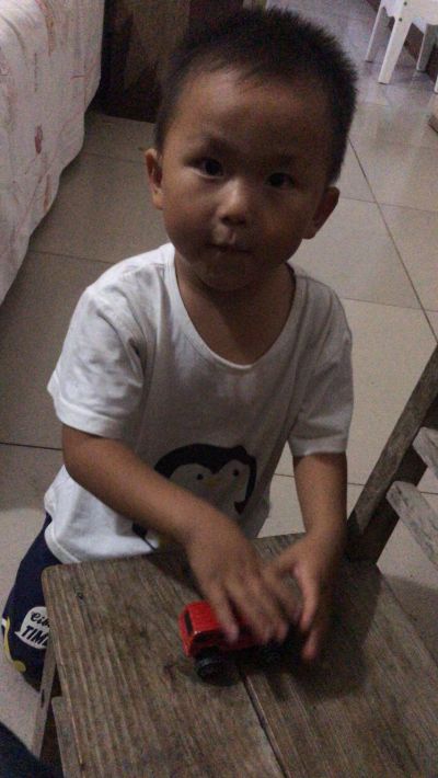 志洋