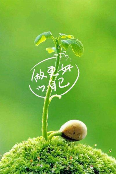 好太太家居快递安装维修