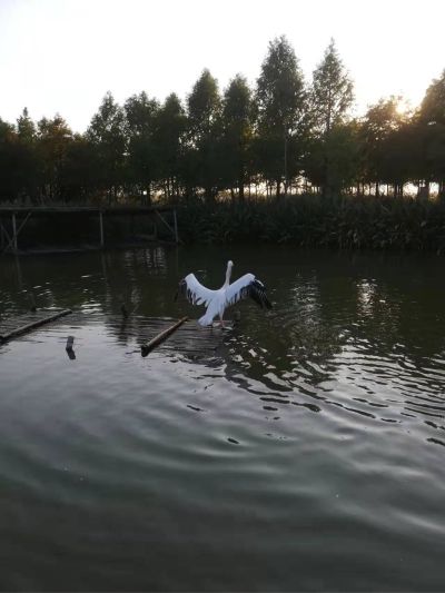 电子家具安装
