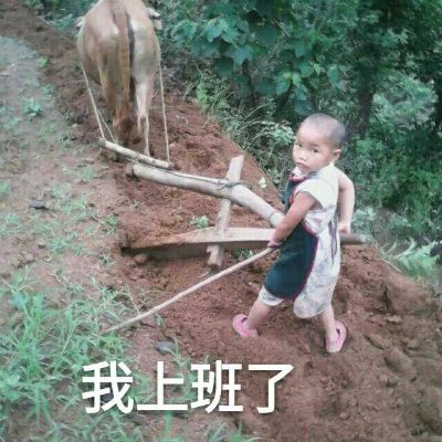 拆装装卸搬家无