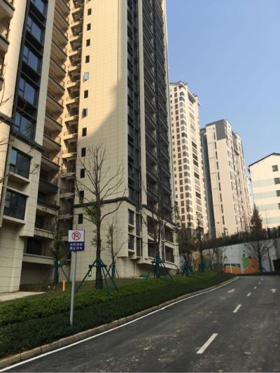 贴砖