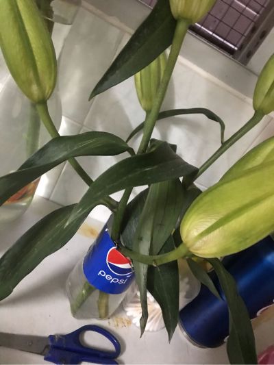 专业拆打