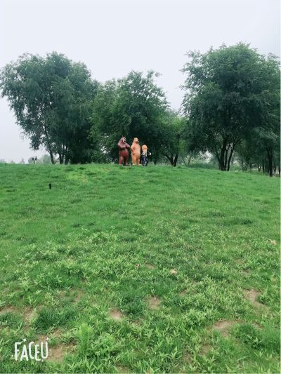 维修维修