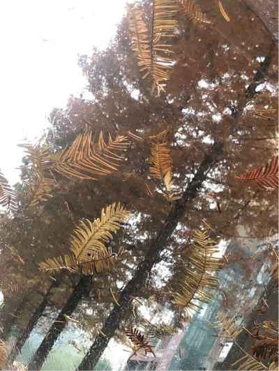 需疏通找到问题所在