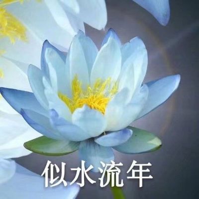 家居设计