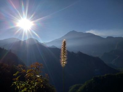 送货上门