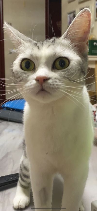 网络弱电