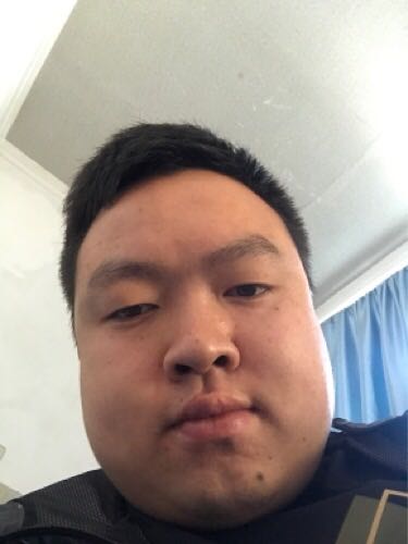 墙纸墙布墙纸墙布