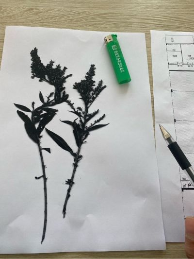 专业装修