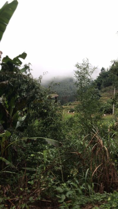 集成吊顶