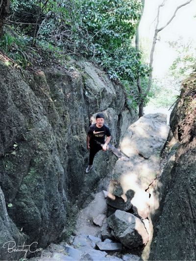 安装维修全能无