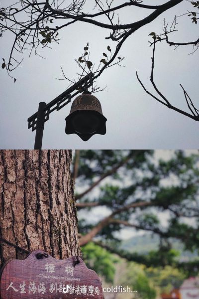安装安装师傅