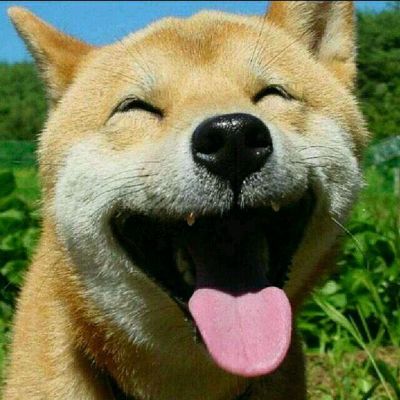 无定制衣柜安装