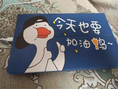 安装