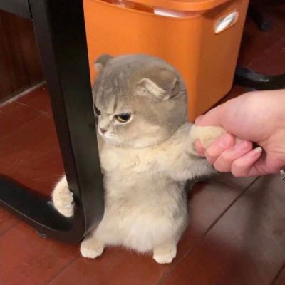 牧羊人