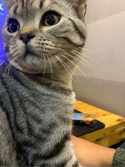 焊工安装