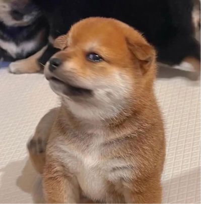上门空调维修