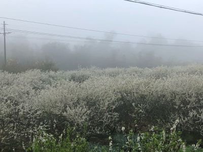 修修修灯具安装小家电维修