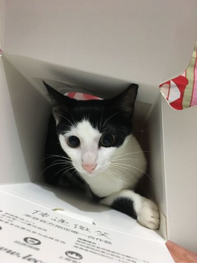 电脑手机