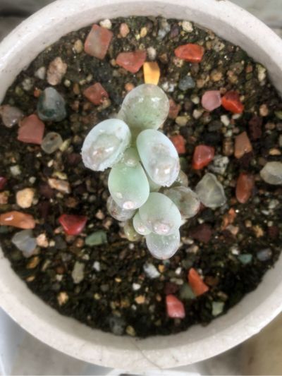 水电安装维修