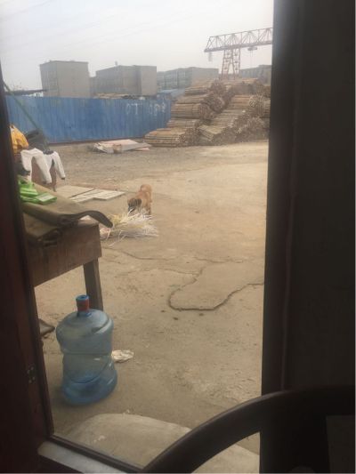 出砂石