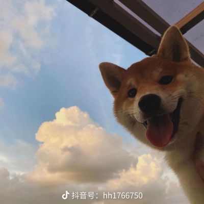 电工