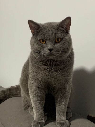 室内安装维修安装