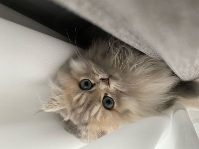 装修