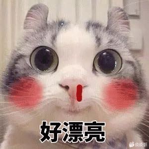 电工