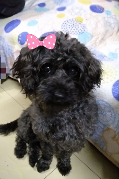 保洁