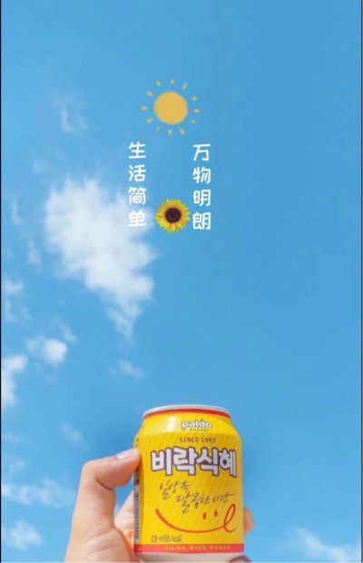 安装