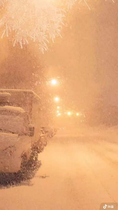 力工帮忙搬运货物