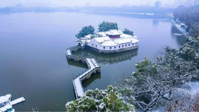 什么都会