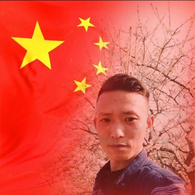 白蚁防治预防