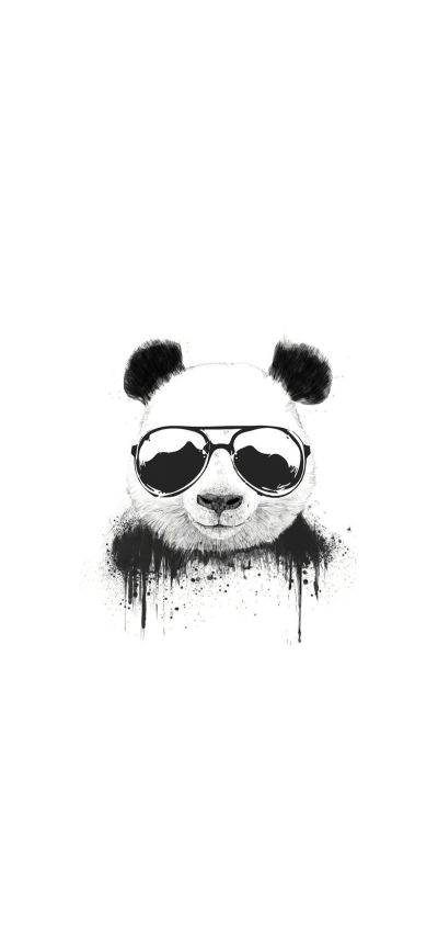 回收无
