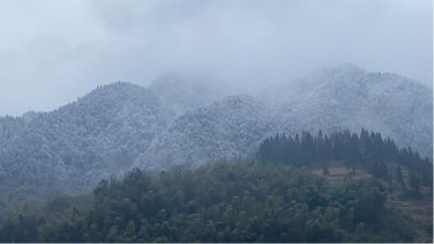 弱电维护安装弱点维护安装