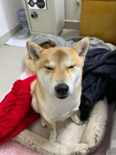 无