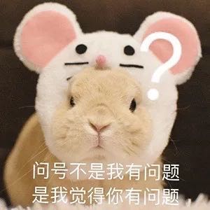 安装
