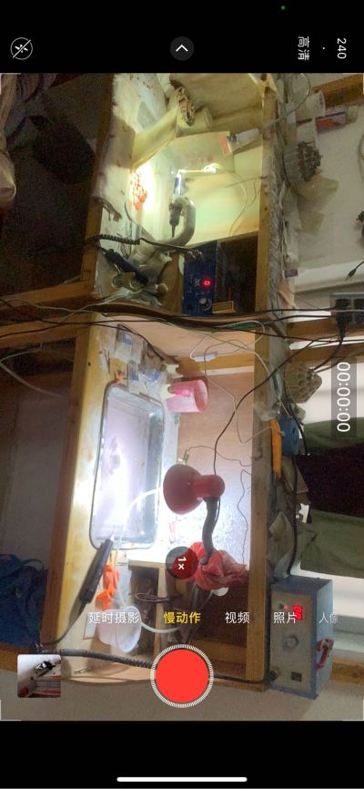 全能