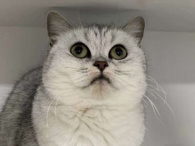 家电维修师傅无