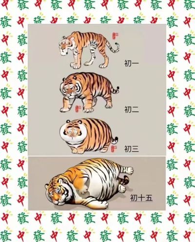 塑料包装材料