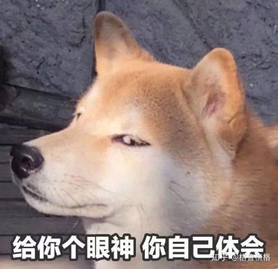 刮腻子
