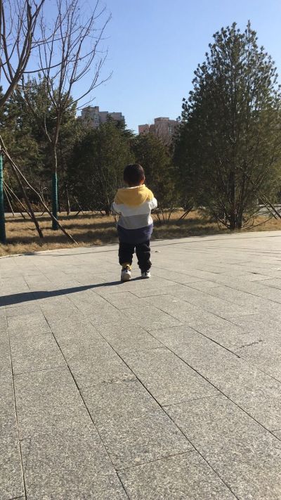 机械设计