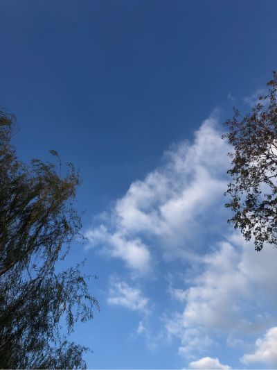 防水堵漏大白防水大白维修防水大白维修防水大白维修