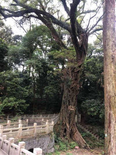 电工和维修