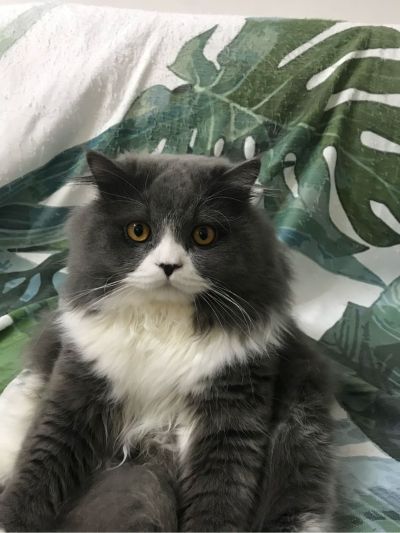 工程